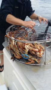 Crabbing Prince Rupert BC Sea West Charters